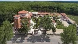 Mâna dreaptă a Sfântului Vasile cel Mare ajunge de două ori în numai 5 zile la Mănăstirea Pantocrator