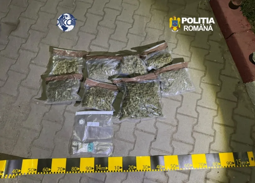 Doi gălățeni, cercetați pentru trafic internațional și intern de droguri. Peste 1,7 kilograme de canabis și cocaină, aduse din Spania