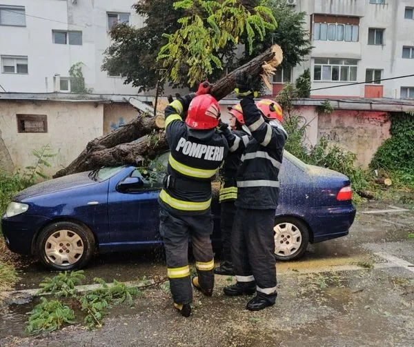 Urmările furtunii: acoperișuri smulse, copaci prăbușiți și zeci de mașini avariate