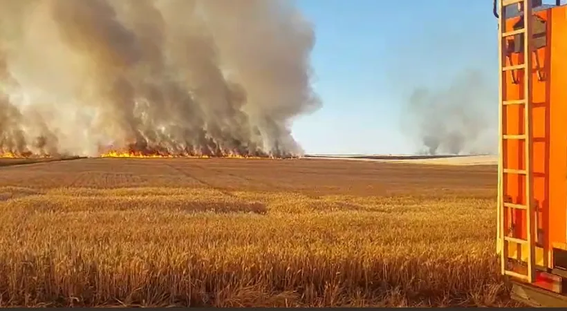 Pompierii, în alertă. Un incendiu de vegetație s-ar putea propaga către pădurea Gârboavele