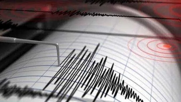 Cutremur în România. Unde s-a resimțit seismul