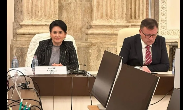 Deputatul Viorica Sandu a participat la discuții despre impactul IMCA asupra economiei românești
