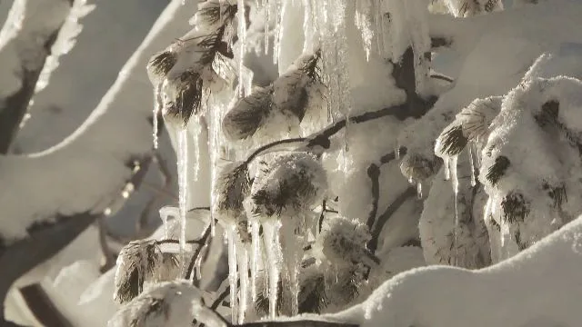Alertă de vreme rea în România: temperaturi scăzute, ploi, polei și rafale de vânt în opt județe