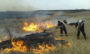 Arderea miriștilor și a vegetației uscate, strict interzisă. Amenzi de până la 100.000 de lei în Galați