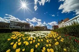 Cum va fi vremea de 1 Mai: răcire puternică și ploi în mai multe regiuni