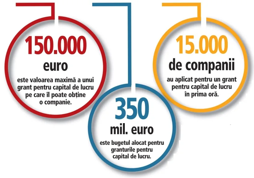 Peste 20 de mii de aplicanți la granturile pentru capital de lucru