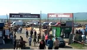 Zeci de companii din piața comerțului cu lemn, identificate și amendate că jefuiesc statul