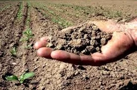 Reprezentanții agricultorilor vor banii promiși pentru calamități, nu minciuni guvernamentale