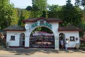 Primăria Piatra-Neamţ a decis desfiinţarea grădinii zoologice. Ce va fi amenajat în locul ei