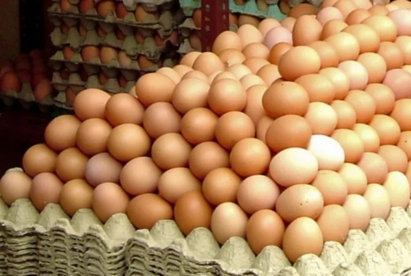 265.000 de ouă contaminate cu Salmonella, oprite de la comercializare