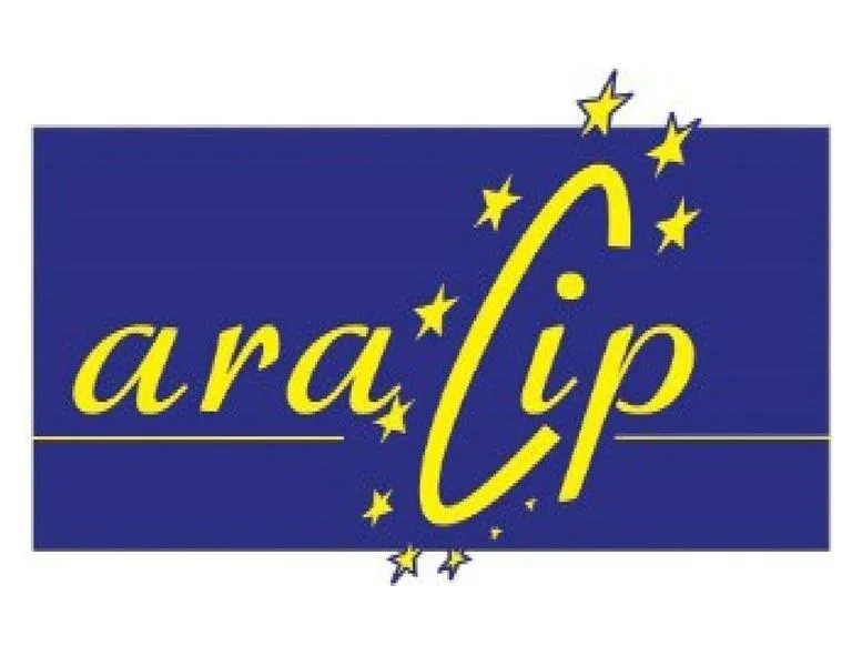 Sinteza neregulilor de la ARACIP