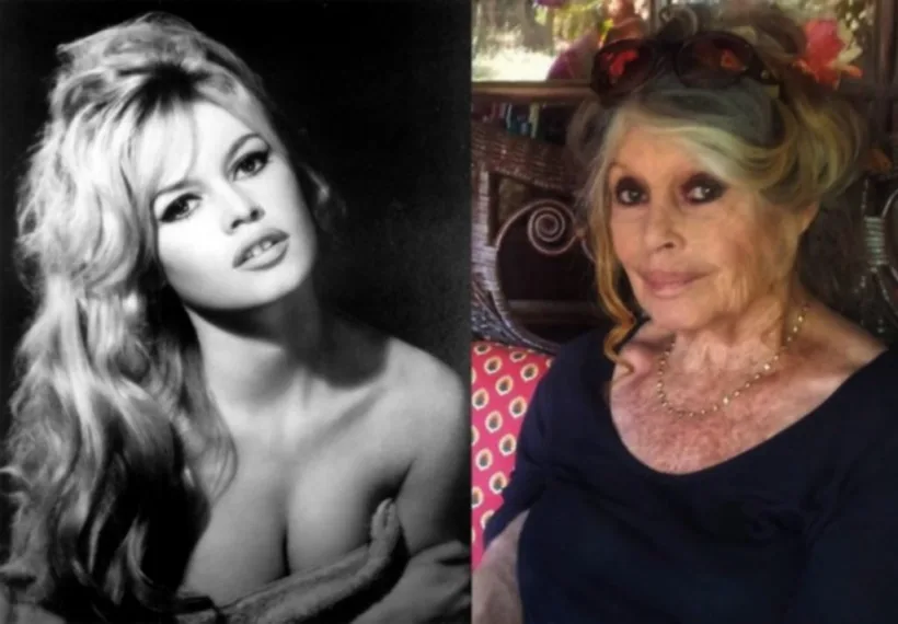 Brigitte Bardot a fost amendată