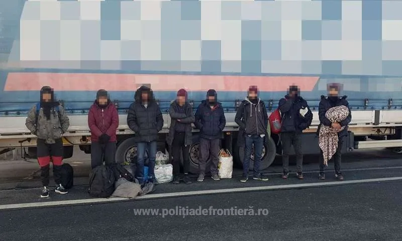 În căutarea lui Moş Crăciun