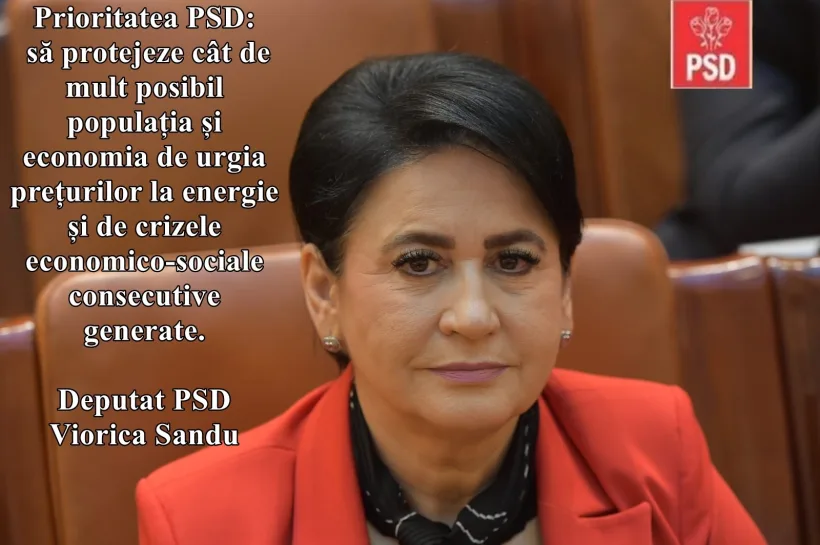 Deputatul Viorica Sandu: Prioritari pentru PSD rămân românii, indiferent de situația din afara granițelor