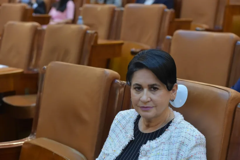 Deputatul Viorica Sandu, vești bune pentru români: A fost adoptată Ordonanța de Urgență prin care se reglementează prețurile la energie electrică și gaze