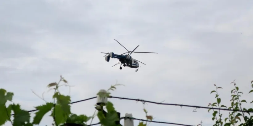 Joi, 14 aprilie, începe dezinsecția în municipiul Galați