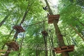 Parcul de Aventură din Pădurea Gârboavele, tot mai aproape de finalizare