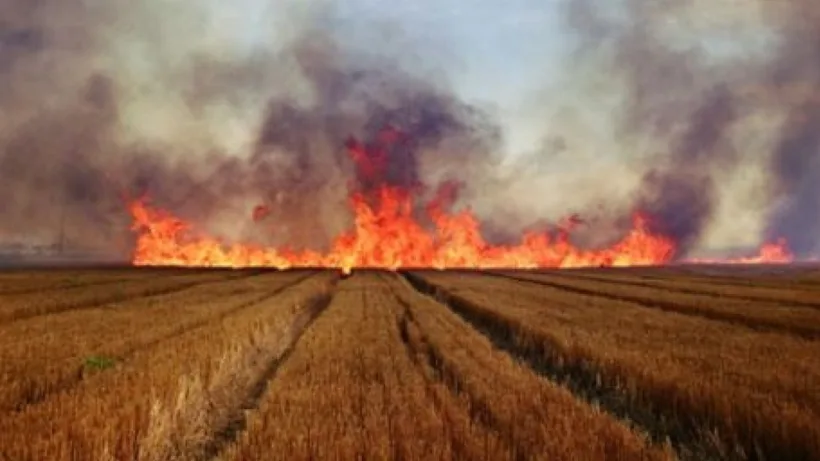 Lan de grâu, în flăcări. Pompierii gălățeni au intervenit în forță