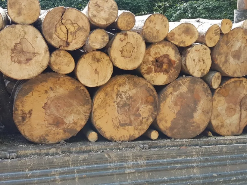 Prețul la lemnele de foc, plafonat la 400 de lei