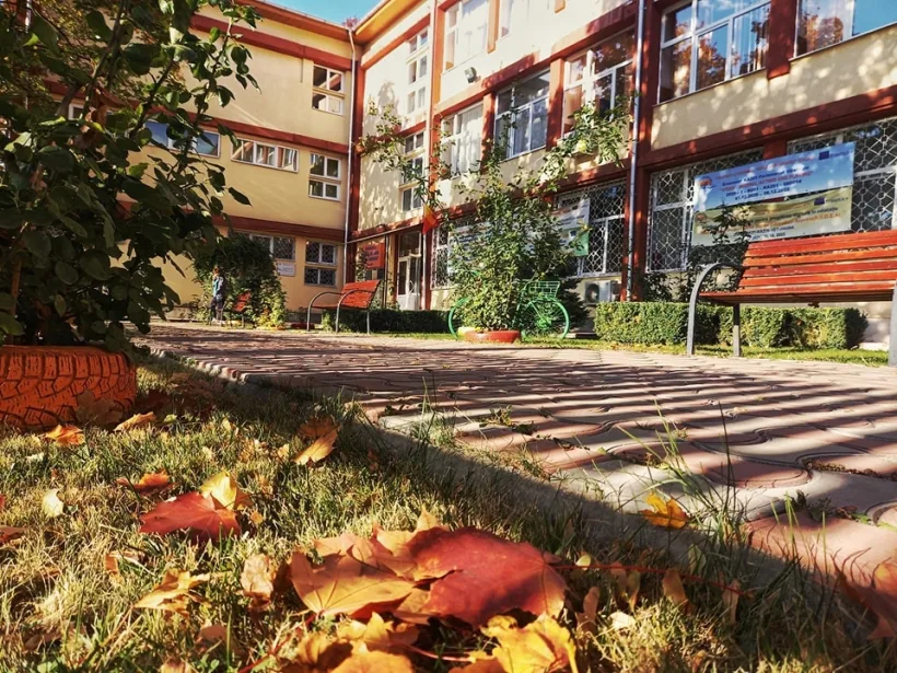 Colegiile Economice, pe cale de dispariție? De ce NU trebuie ca un colegiu cu profil economic să devină liceu profesional