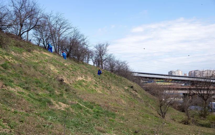 Start la campania de plantări în orașul Galați