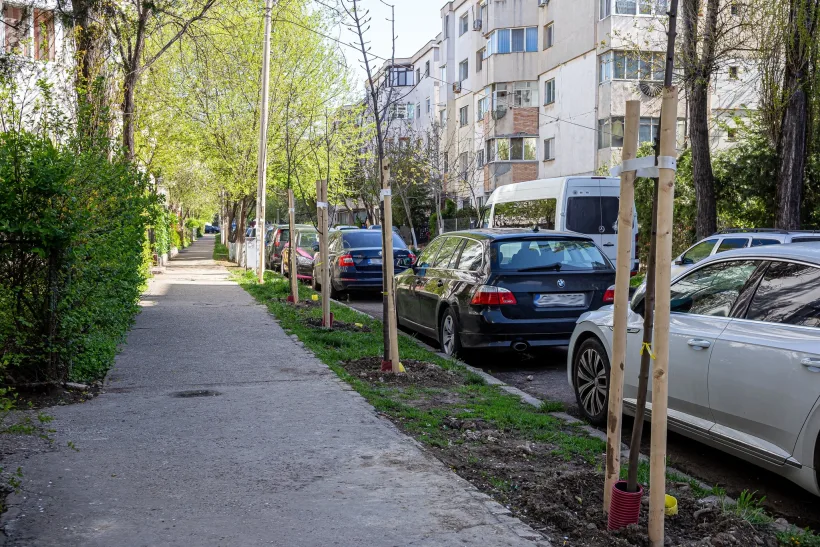GALAȚI ECO: Mai mulți copaci, mai mult verde