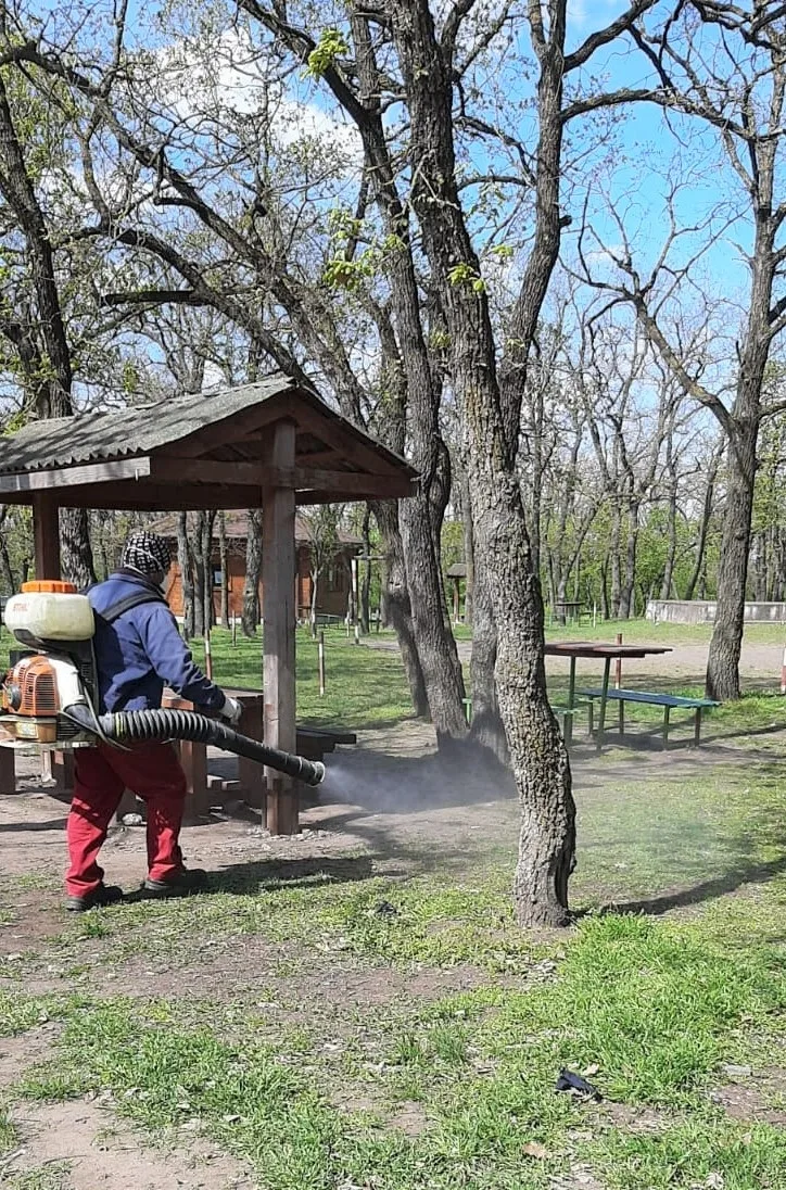 Operațiune de dezinsecție în Pădurea Gârboavele și Balta Zătun