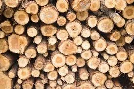 Se plafonează preţul la lemnul pentru încălzire, până la 31 martie 2023