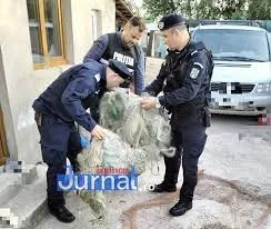 Pescarii prinşi în plasă