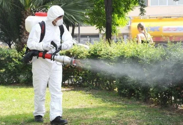 Dezinsecția din Galați intră în a treia etapă