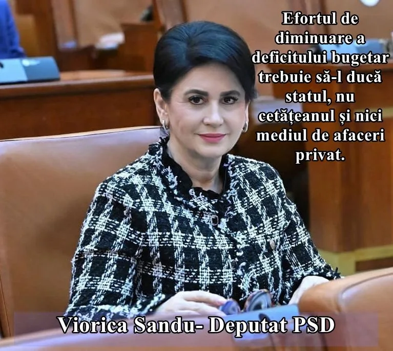 Deputatul Viorica Sandu: Măsuri reale pentru reducerea deficitului bugetar
