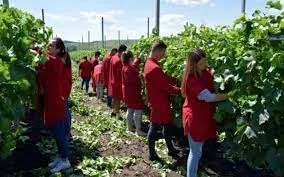 Vin bani prin PNRR și pentru liceele agricole