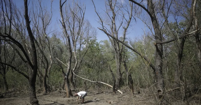 MApN: A fost descoperit un „crater de dronă, cu posibilă explozie la impact” în județul Tucea