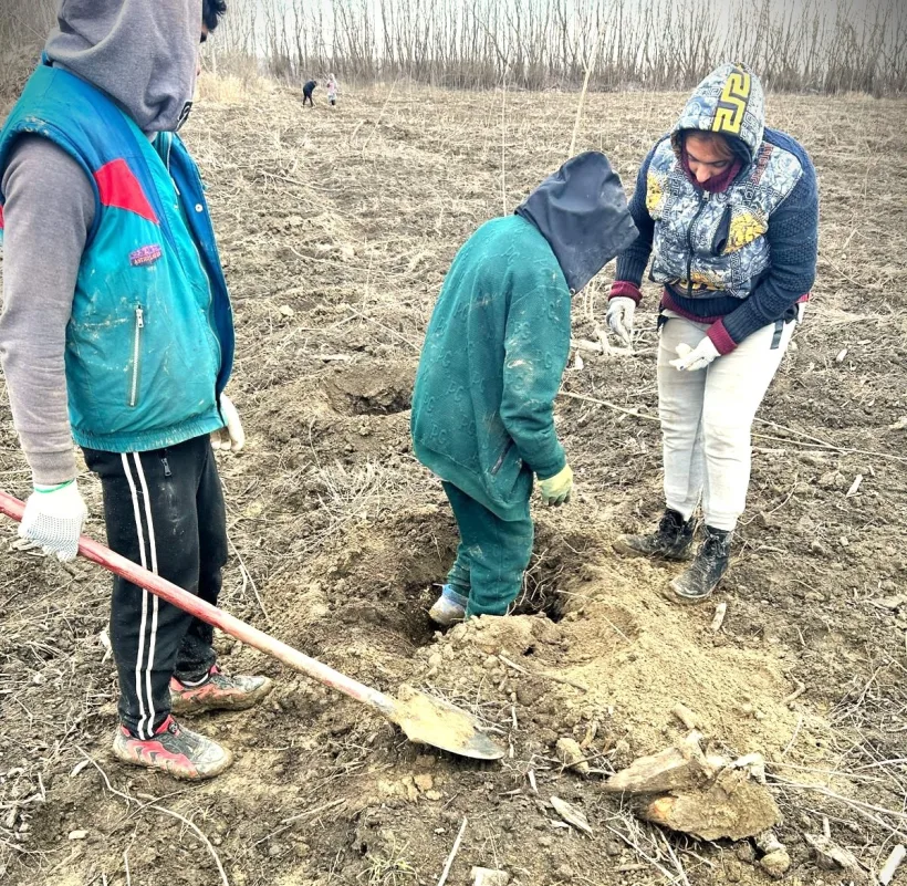 Galațiul, județ fruntaș la împăduririle prin PNRR
